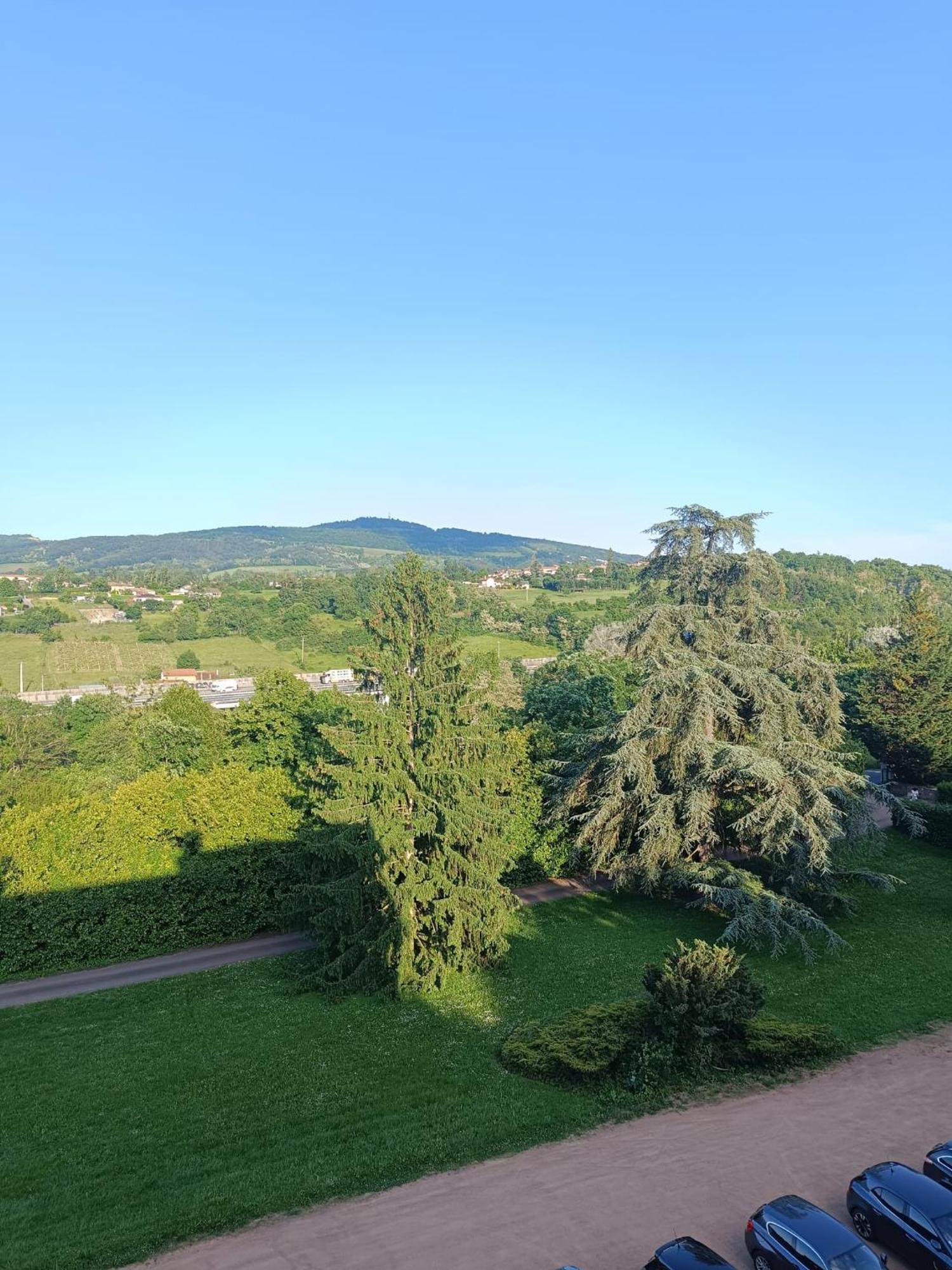 Sejourner Au Chateau De La Roue Grand Appartement Lissieu Eksteriør billede